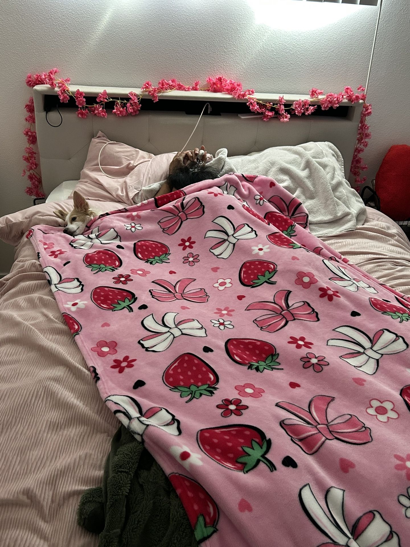 Bed Frame (Full/ Queen)