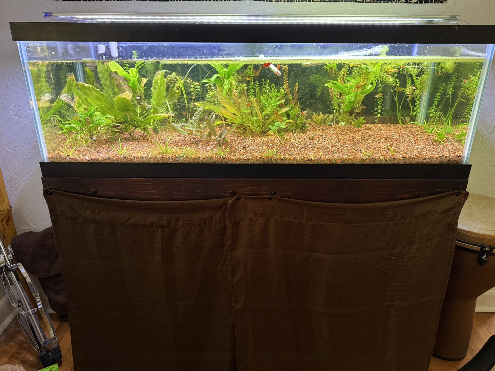 60 Gallon Aquarium With Stand