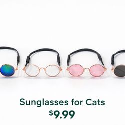 Cat Sunglasses – Adjustable Strap – Cute Styles – $9.99