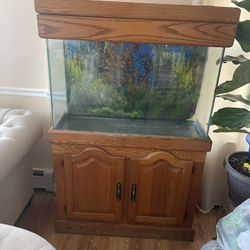 FISH🐠TANK 