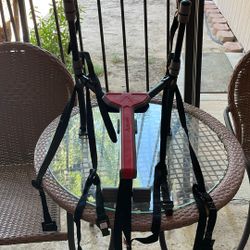 ALLEN MT-2 Bike Rack 