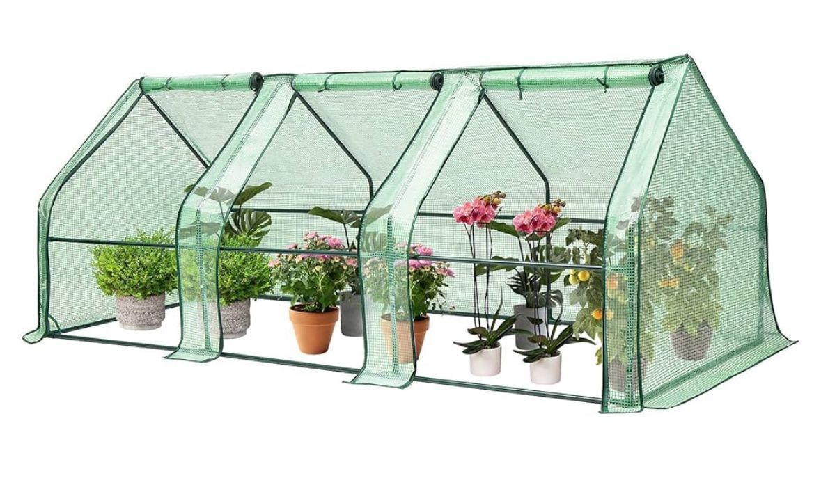 Greenhouse