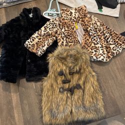 Girls Dressy Coats And Best