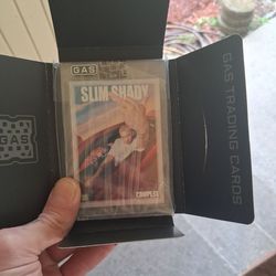 Eminem slim shady complex