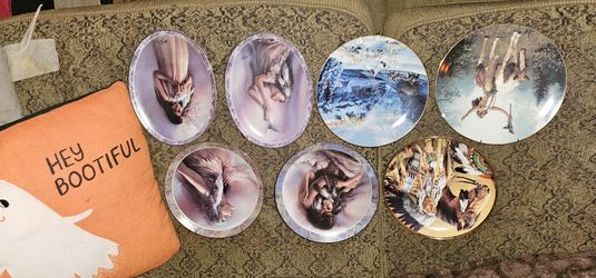 7pc Collector Plates 