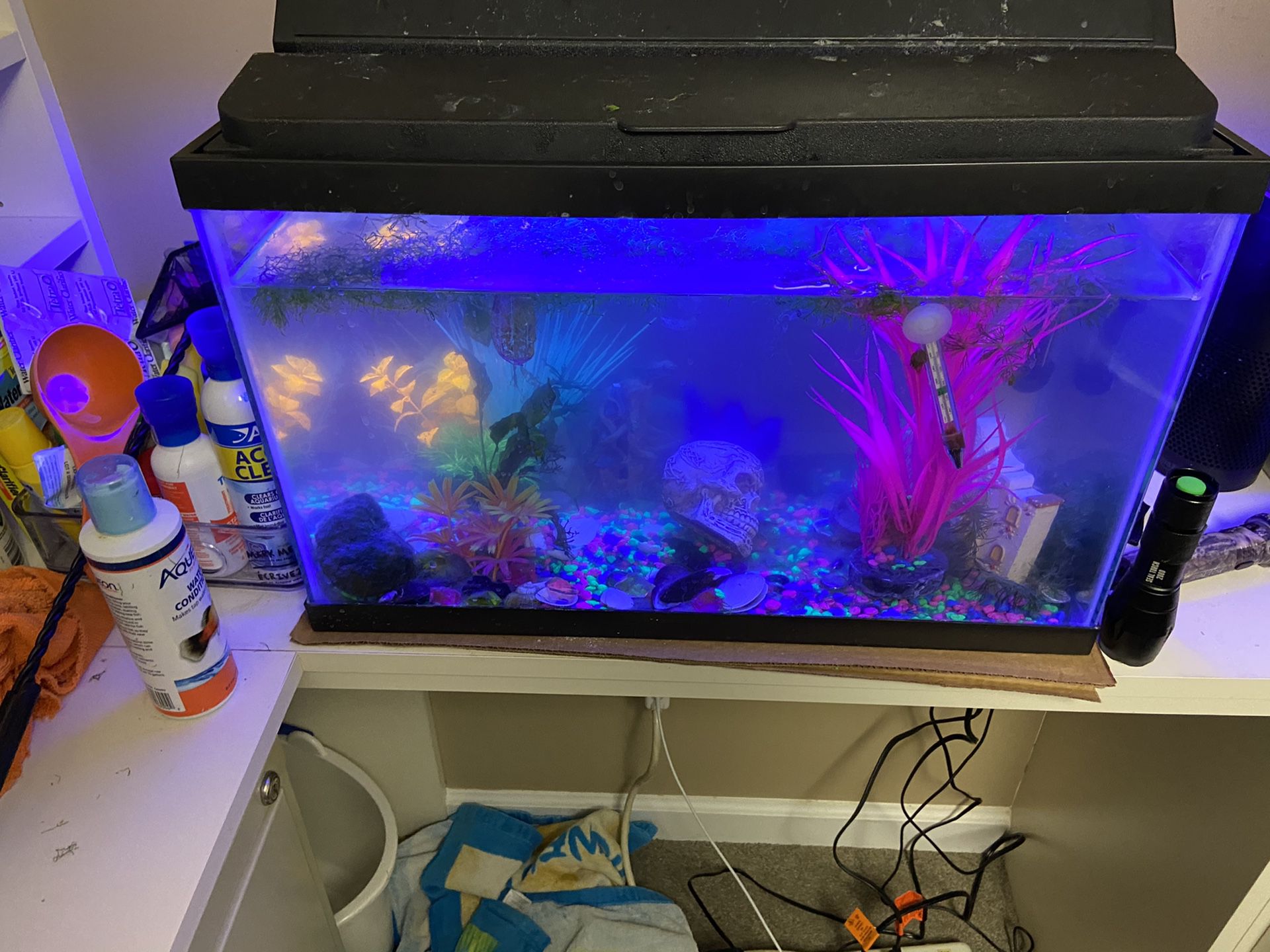 10 gal aquarium with fish. Filter accessories food chemicals and electric pump. All for only $25. Contact george. {contact info removed}