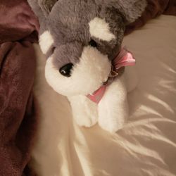 Brand New With Tags, Puppy Love 