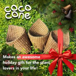 Set of 3 - Coconut Fiber Hanging Planter for Epiphytes, Orchids, Air Plants, Bromeliads
