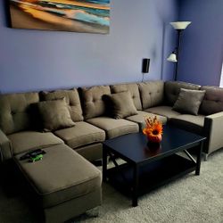Living room Sectional Couch