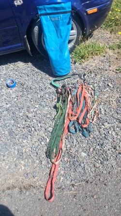 Tree climbing gear