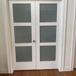 Modern Frosted Doors