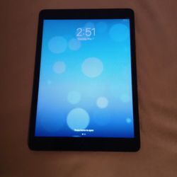 Apple iPad, Large 