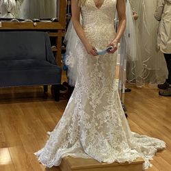 Pronovias Wedding Dress