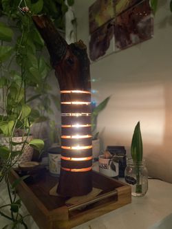 Madrona Branch Segment Lamp