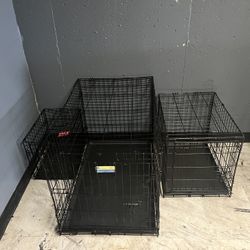 Dog Cages Ava Now 40 Dollars Each One 