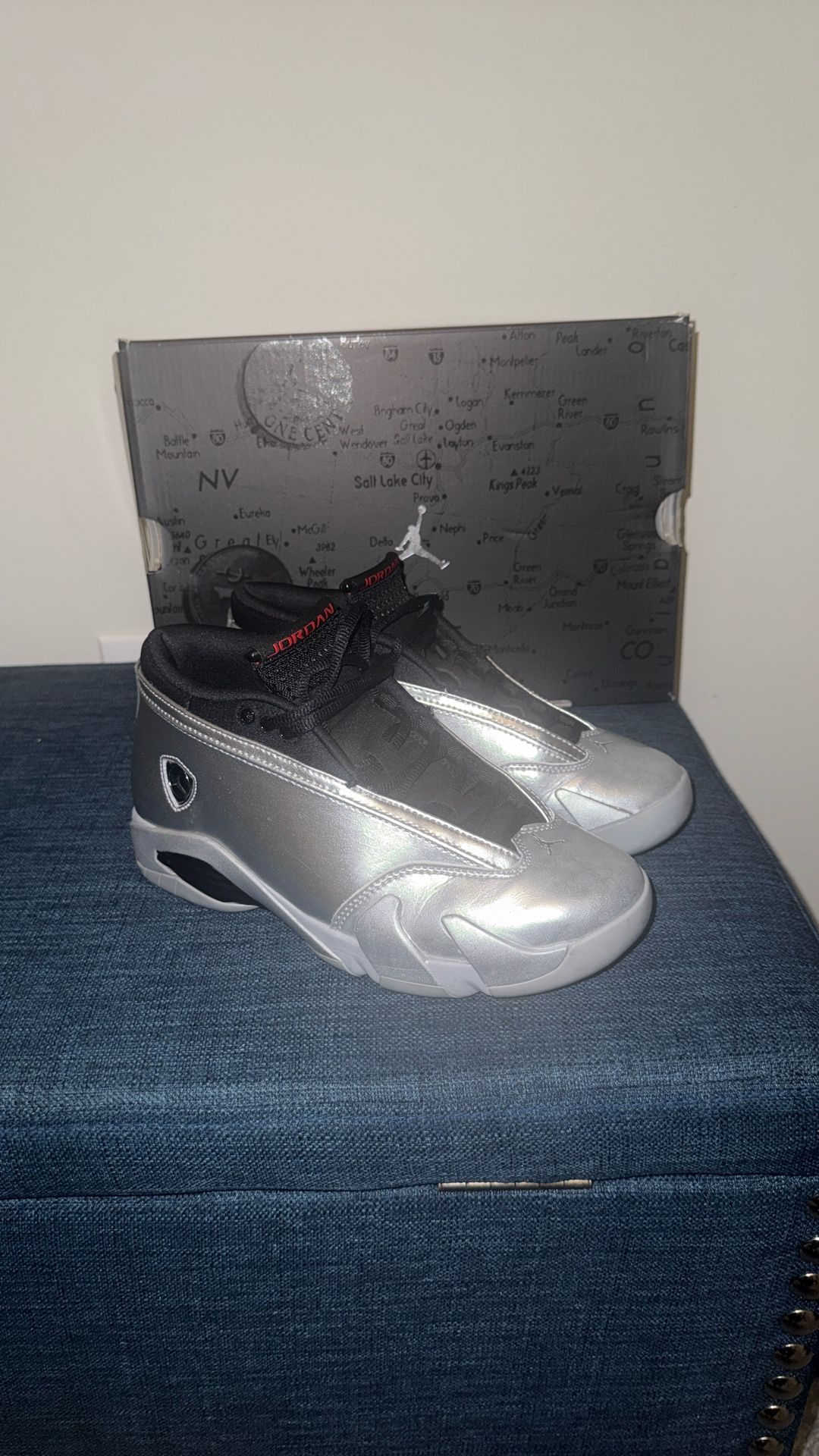 WNNS AIR JORDAN 14 RETRO LOW