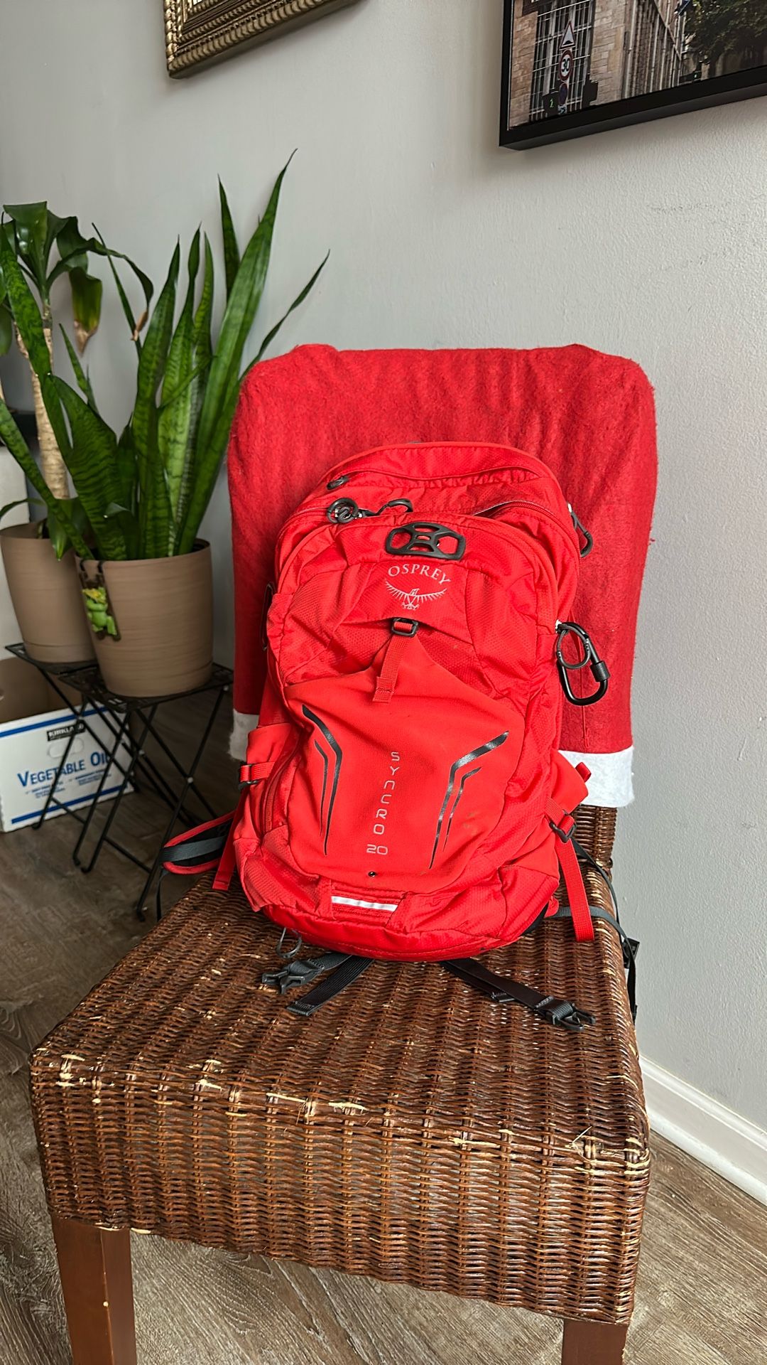 Osprey Synchro 20 Men’s Hiking Backpack