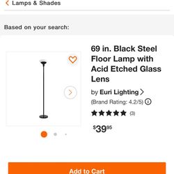 69 in. Black Steel Floor Lamp with Acid Etched Glass Lens