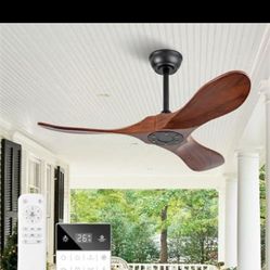 Ceiling Fan