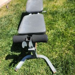 Exercise Bench