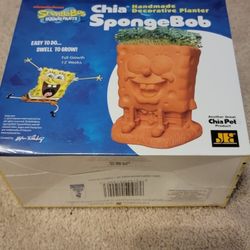 New In Box SpongeBob Chia