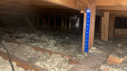 Attic Blown Insulation. Free Estimate.