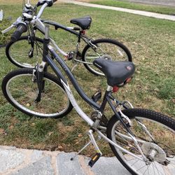 Schwinn Skyliner Bike