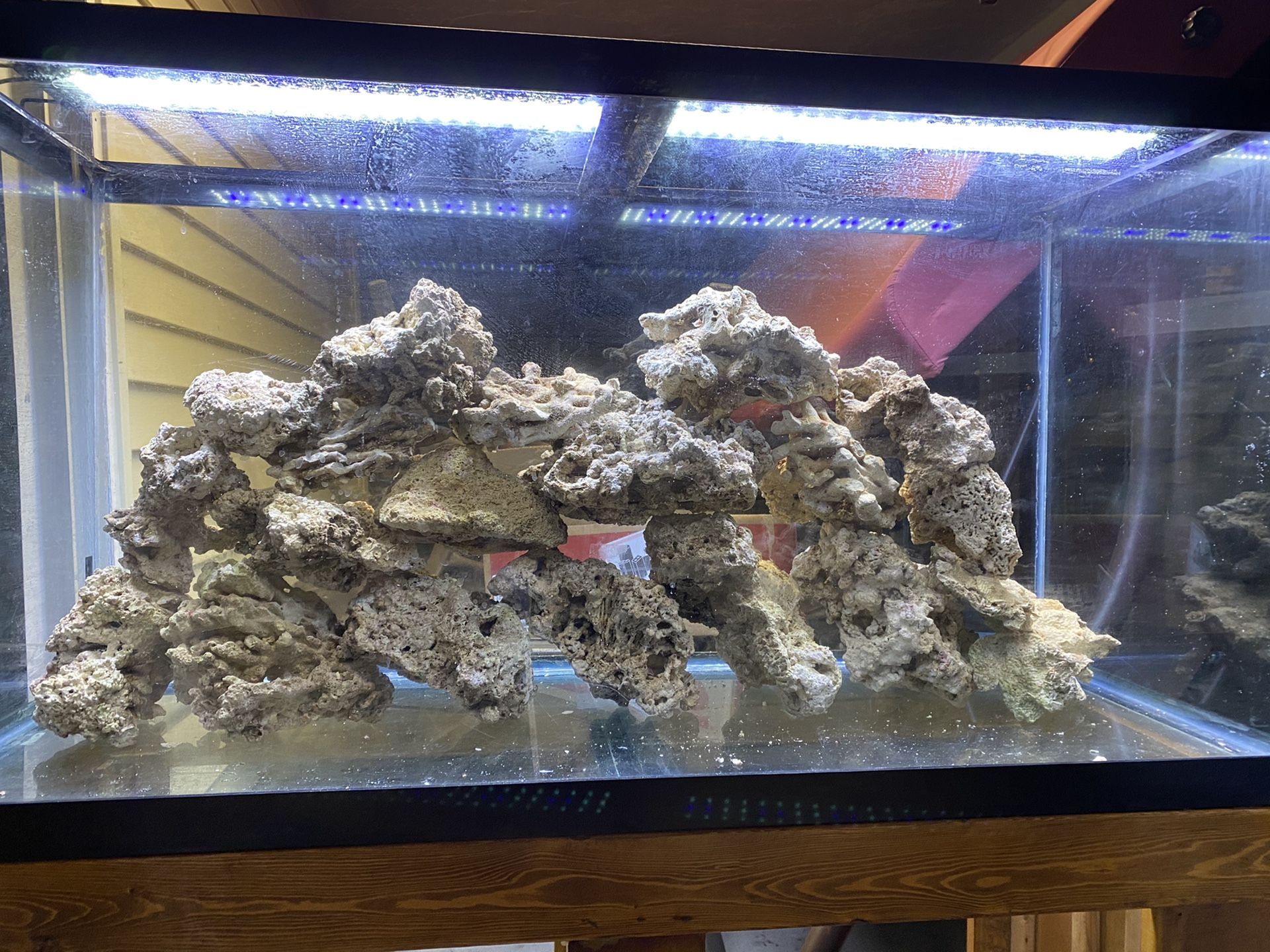 90 gallon aquarium set up