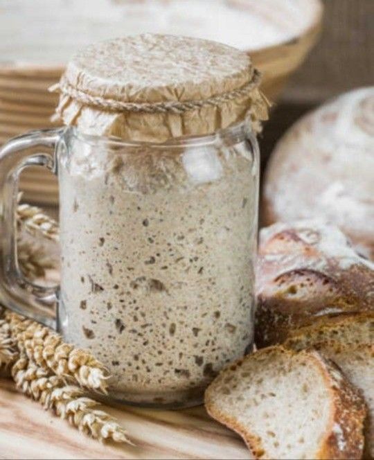 Organic Sourdough Starter