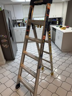 Folding Ladder