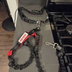 Iron Doggy waist leash - Runner's Chiice Hands-Free Dog Leash