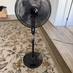 Fan