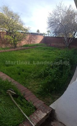 Gardening Arrangements