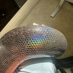 Reptiles Supplie