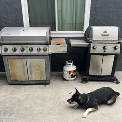 BBQ Grills