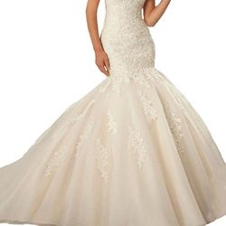 Gorgeous Wedding Dress w/ Cathedral Rhinestone Veil (size 16)
