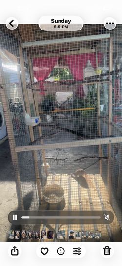 Cages For Birds