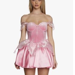 Sleeping Princess Aurora Costume for Women - Tiara and Velvet Dress by Trickz N' Treatz size large