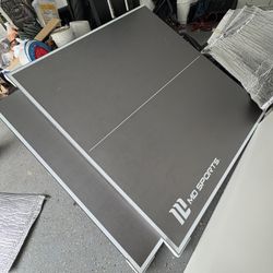 Ping Pong Table 