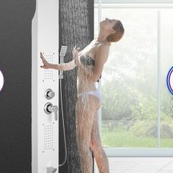 Shower Panel with Adjustable Shower Head