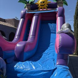 18ft Waterslides 