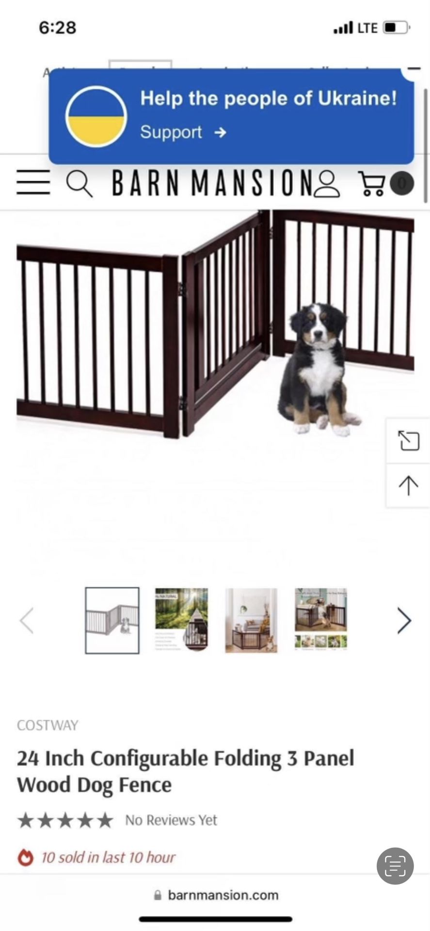 Dog Fence 
