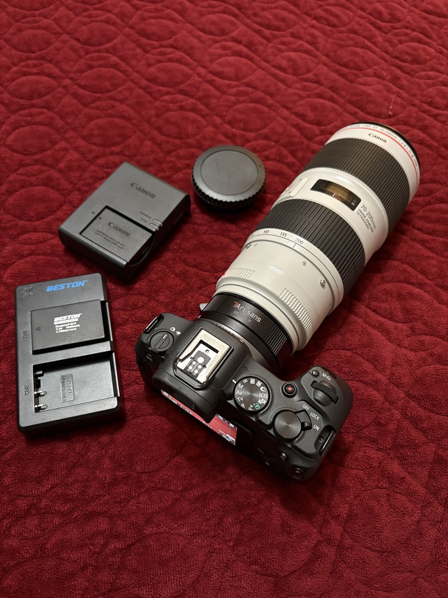Canon R8 Bundle