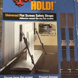 Flat Screen Safety Straps