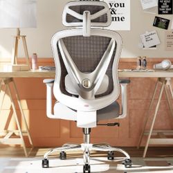 HOLLUDLE Ergonomic Mesh Office Chair