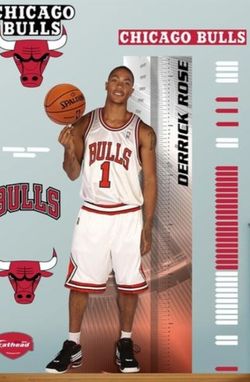 FATHEAD Official BULLS FATHEAD Derrick Rose Growth Chart Life Size Peel & Stick decal Opened Out Of Box/NOT Used