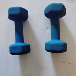 Set Of Blue Dumbells 8 Pounds 