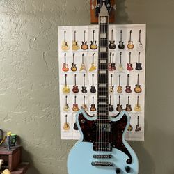 DAngelico  Premiere Pelham Blue