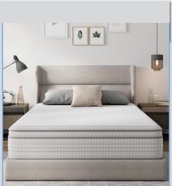 New Novilla 12 Inch Queen Size Mattress in a Box, Hypoallergenic & Back Pain Relief, Hybrid Queen Mattresses with Smarts Coils, Fiberglass Free CertiP