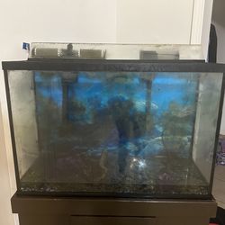 75 Gallon Glass Fish Tank